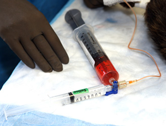 Animal Cancer Specialists
