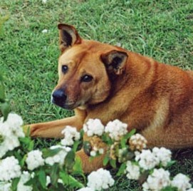 annie_portraitcropped annie_portraitcropped