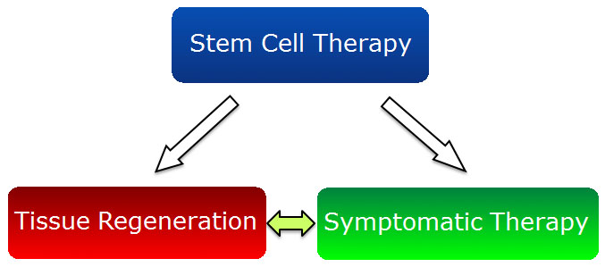 Treatment strategies and potential mechanisms of action of stem cell therapy