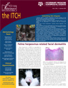 the Itch: Feline herpesvirus-related facial dermatitis