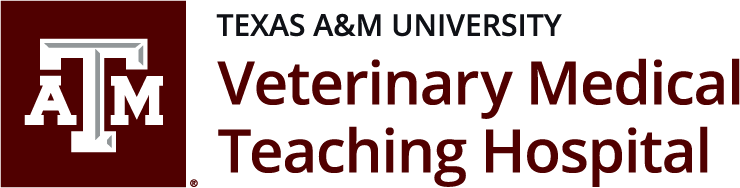 Texas A&M Veterinary Medical Teaching Hospital