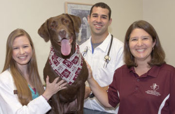 Veterinary Medical Teaching Hospital - Texas Am Veterinary Medical Teaching Hospital