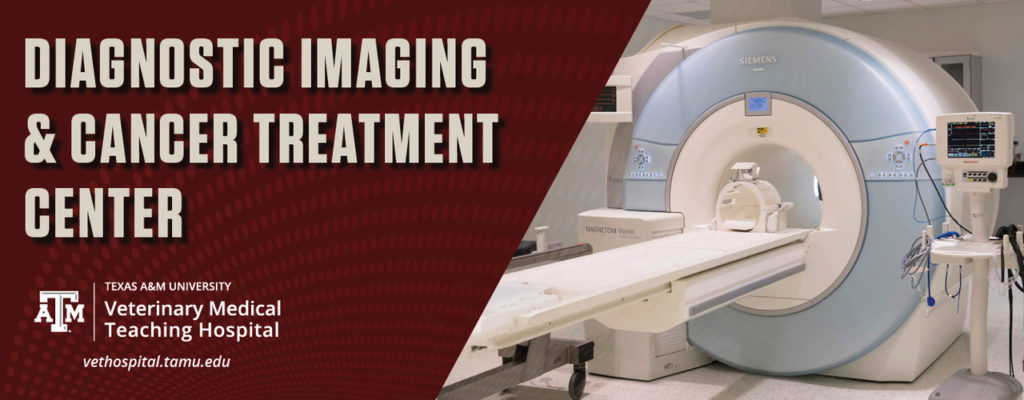 Diagnostic Imaging & Cancer Treatment Center at the Texas A&M Veterinary Medical Teaching Hospital (Heading Banner)