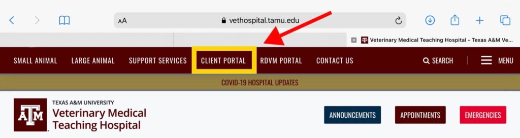 Screenshot of hospital homepage marking client portal tab
