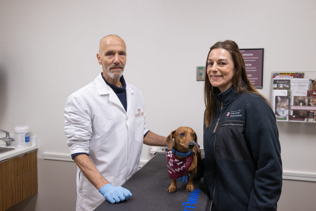 Two people examine dog participating in clinical trial.  